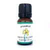 Grapefruit Essential Oil Best Essential Oils for Diffuser