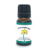 Cinnamon Essential Oil Best Essential Oils for Diffuser