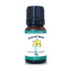 Fennel Essential Oil Best Essential Oils for Diffuser