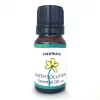 Rosemary Essential Oil Best Essential Oils for Diffuser