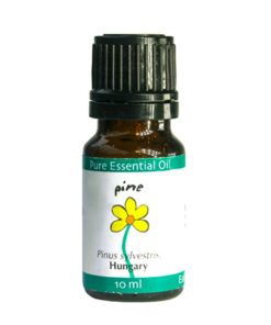 Pine Essential Oil Best Essential Oils for Diffuser