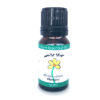 Anise Essential Oil Best Essential Oils for Diffuser