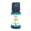 Juniper Essential Oil Best Essential Oils for Diffuser