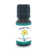Juniper Essential Oil Best Essential Oils for Diffuser