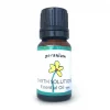 Geranium Essential Oil Best Essential Oils for Diffuser