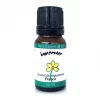 Lavender Essential Oil Best Essential Oils for Diffuser