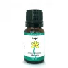 Sage Essential Oil Best Essential Oils for Diffuser