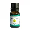 Orange Essential Oil Best Essential Oils for Diffuser