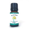 Thyme Essential Oil Best Essential Oils for Diffuser